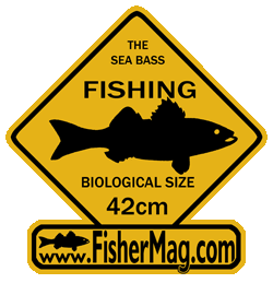 Action de FisherMag pour taille de reproduction du bar et loup a 42cm